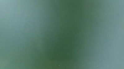 ornamentno-steklo-satinato